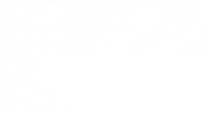 Forza